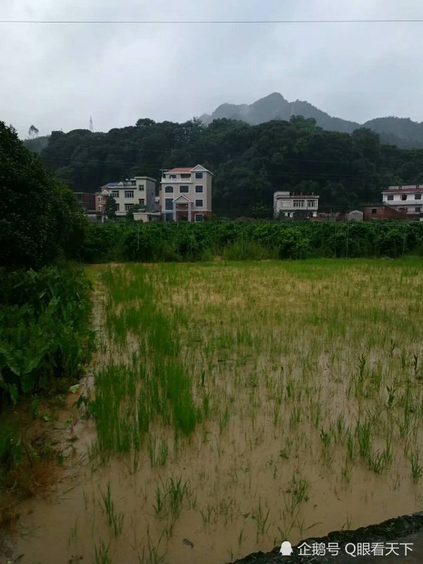 6月9日,广西省桂林市全州县才湾七星村洪灾现场