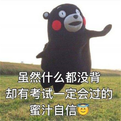 熊本熊搞笑表情包:要饭中,24小时营业