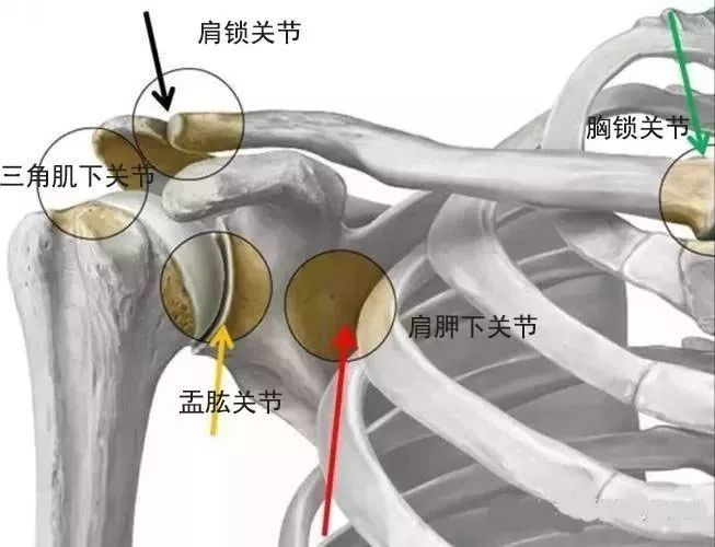 如果按压之后你觉得脱位少了,肩膀更稳定了,这个测试即被认为是阳性