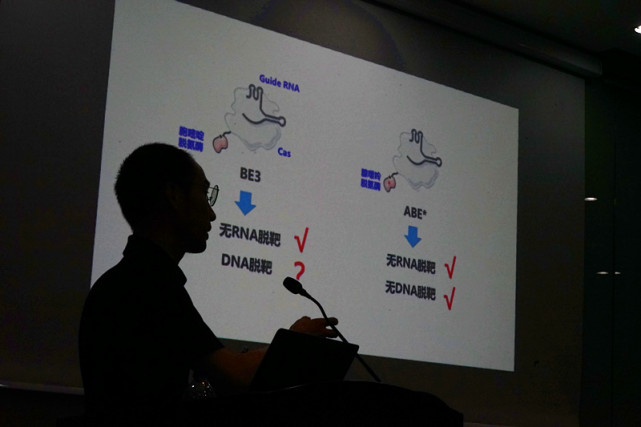 《自然》杂志：新一代无脱靶基因编辑工具在沪诞生