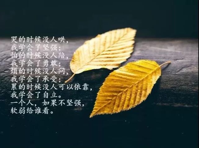 写给自己很窝心的经典好句子,很适合发朋友圈