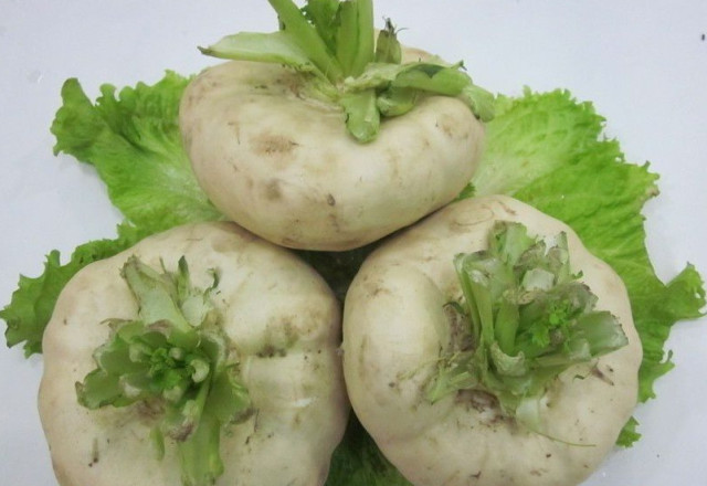 北方最常吃的腌菜,人称"圆菜头,长得像萝卜,味道似土豆!