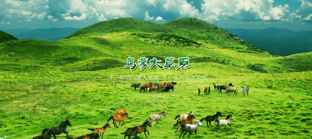 中国最美的避暑休闲胜地,贵州最美避暑胜地,六盘水乌蒙大草原!