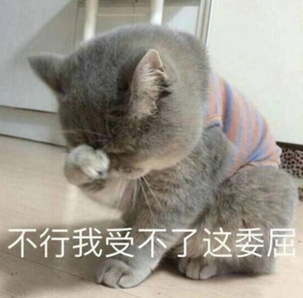 超萌可以吸的猫咪表情你走吧我有别的猫了