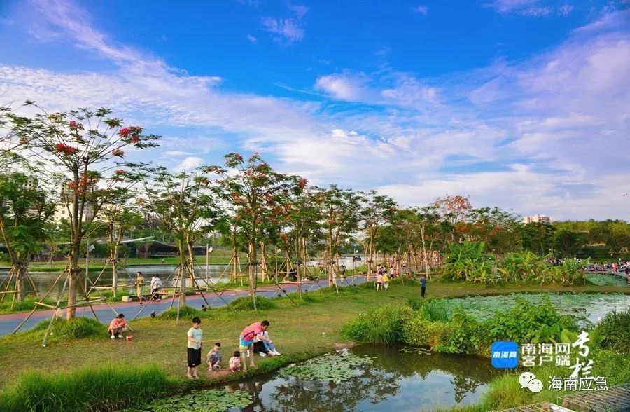 资料图:海口美舍河.南海网客户端拍客专栏摄影师 周经纬/摄