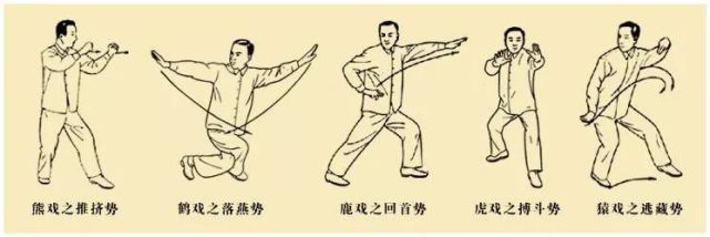 "中医的五禽戏就是模仿熊,鹿,虎,猿,鹤等五种禽兽动作,配合中医观念而