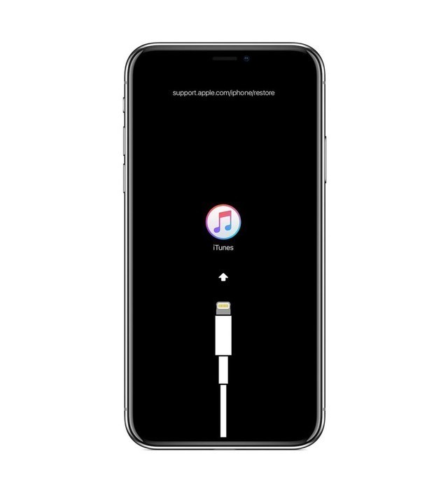 苹果iphone 11将会取消lightning接口?