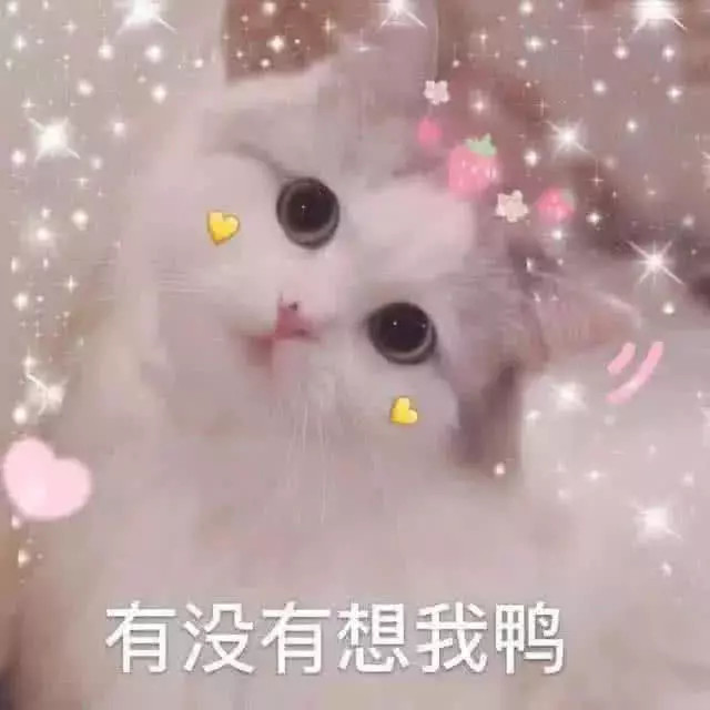 男票频频不秒回你,用这些表情包试探他,傻孩子别再被