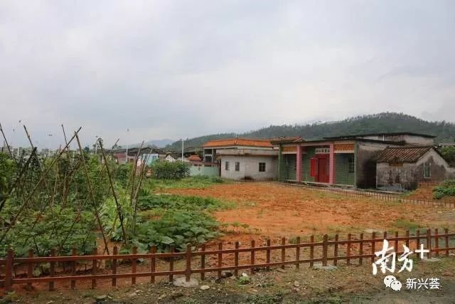 岑村,稔村镇,村民,碉楼,黄春梅,新兴县