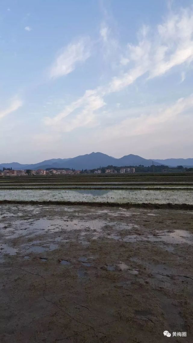 黄梅县各个乡镇gdp_黄梅县有哪些乡镇