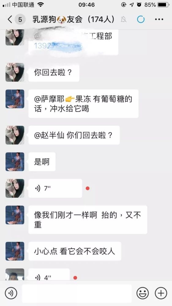 齐心协力下,孕犬被狗群的好心人带了回家.