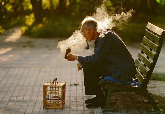 抽烟遛鸟的老大爷