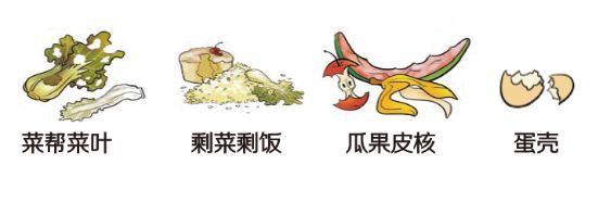 那么,厨余垃圾经过分类投放后需要经过怎样的收集,运输和处理过程呢?