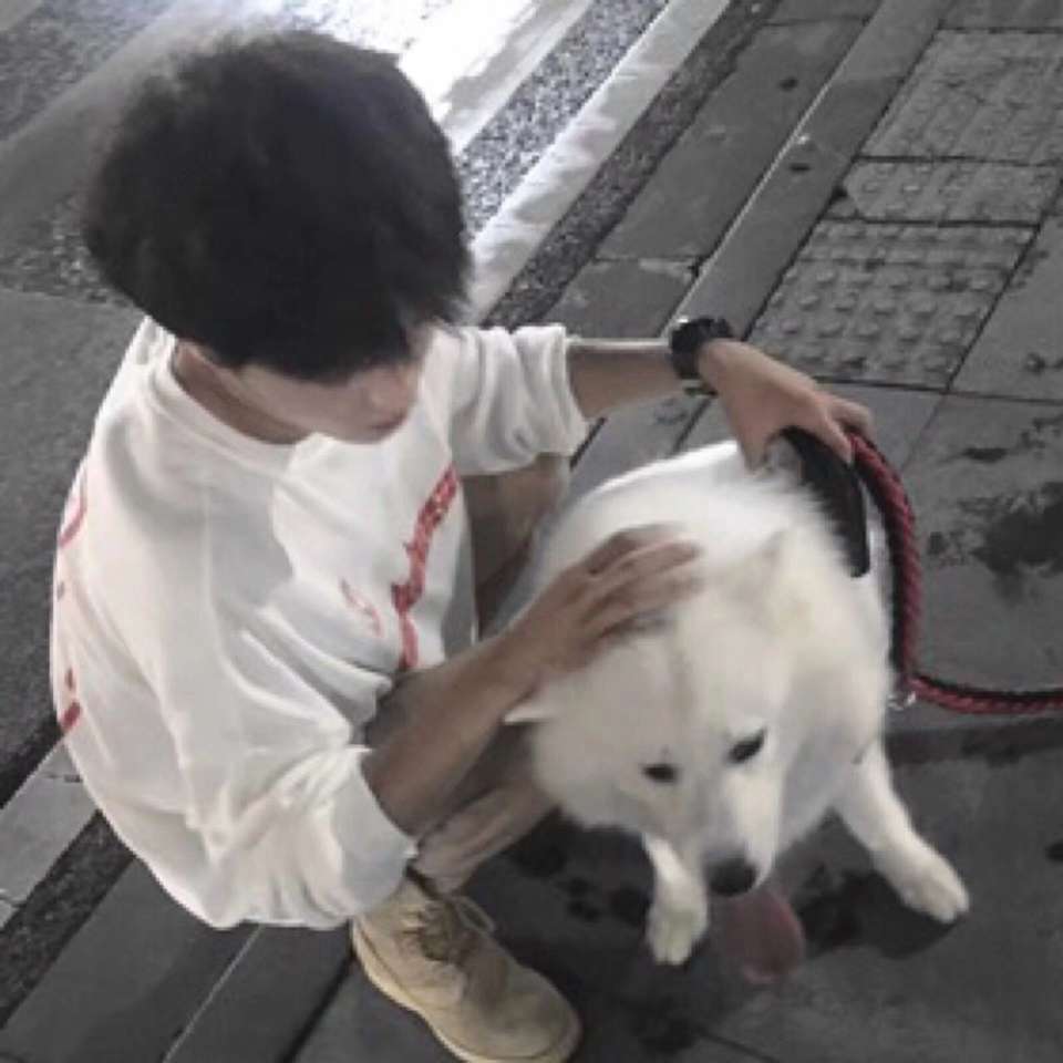 自带宠物系列男生头像,这就是女生口中的宝藏男孩,太