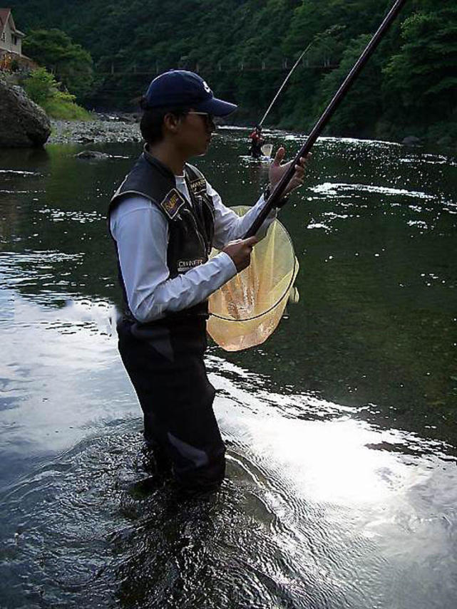 在日本钓香鱼最有意思,它被誉为"清流的女王"对水质要求极高