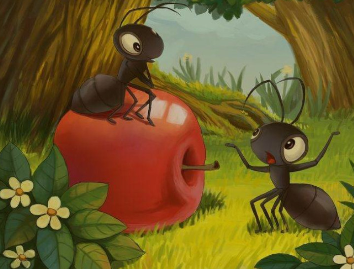 假如一群蚂蚁中的蚁后死了,剩下的蚂蚁会怎么样?看完