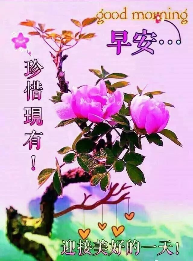 朋友圈早安问候短信温馨语录 早上好动态表情问候祝福