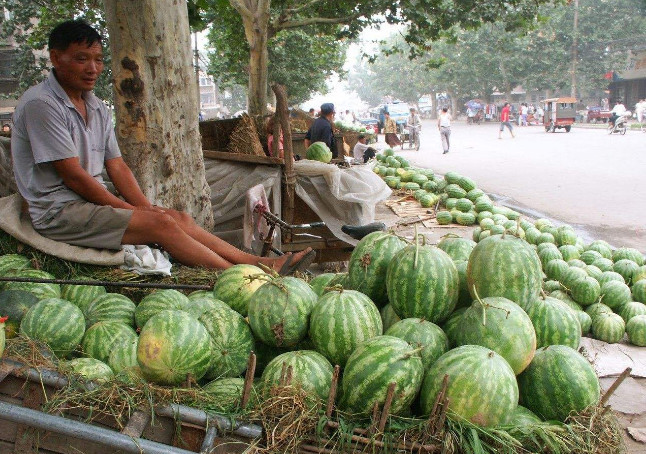 中国人和印度人卖西瓜的方式,一个"秀",一个实在,差距