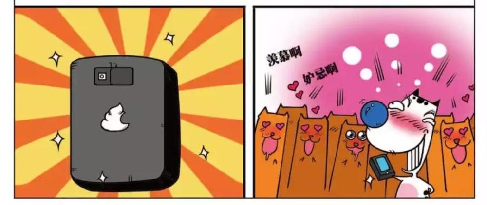 搞笑漫画:炫富心情不仅人也有,就连包子这条狗也不例外
