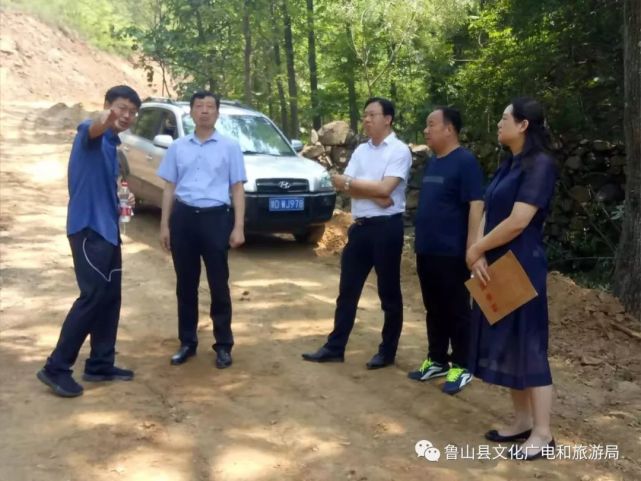 鲁山县委书记杨英峰到赵村镇桑盘村现场调研民宿项目建设进展情况