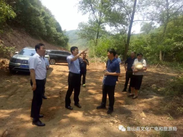 鲁山县委书记杨英峰到赵村镇桑盘村现场调研民宿项目建设进展情况