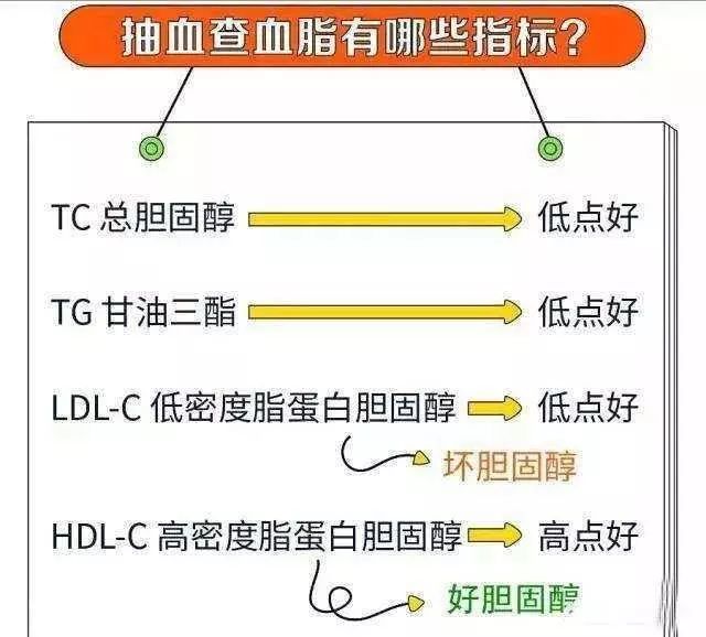 体检时发现低密度脂蛋白已经超过4.1了,这意味着什么?