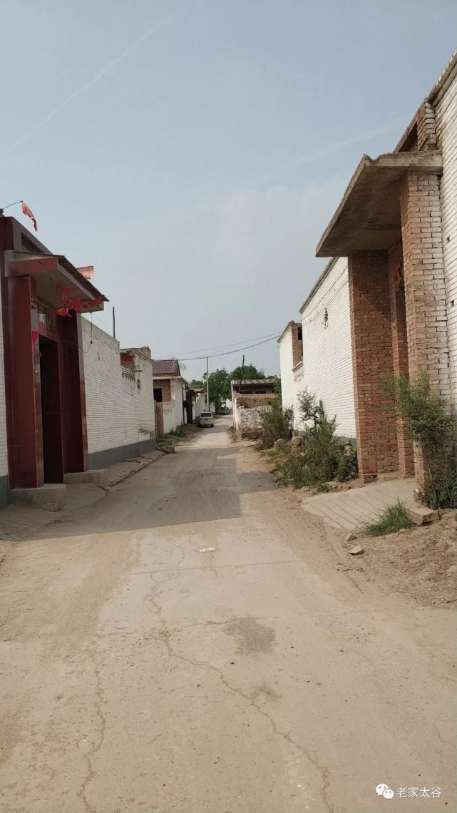 老家太谷一大白村