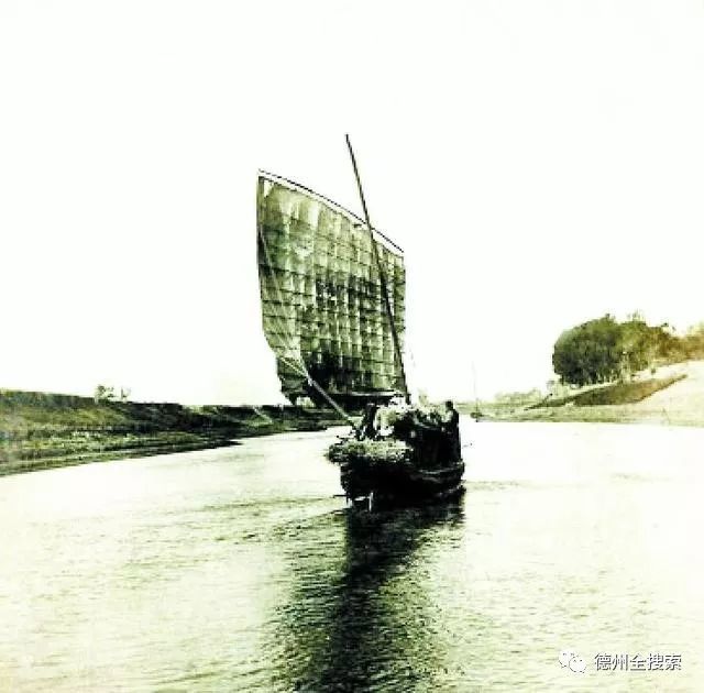 天天快报