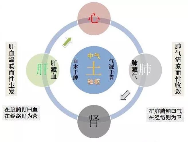 黄元御气机升降图形象理解黄元御圆圈