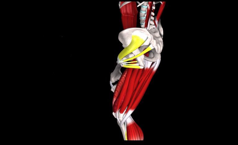 而另一侧缠绕腿,因为需要绕过大腿,那就需要更好的髋外展肌群和髋外旋