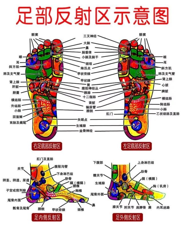 1,止咳——按小脚背这一招来源于小儿推拿,很多小孩子的普通感冒都能