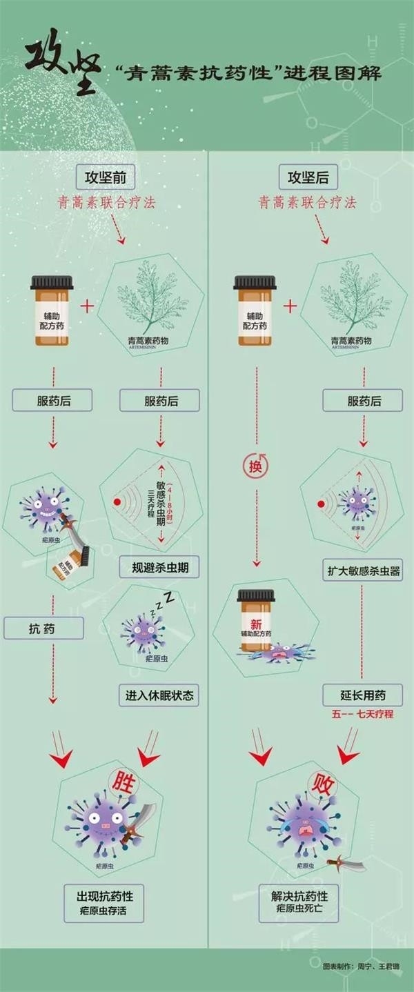 昆药集团：双氢青蒿素将在2026年前后上市