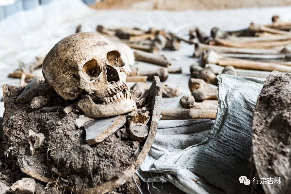 在展区内,可以看到被埋葬的197具骸骨,其中还包括了30多具儿童和女性