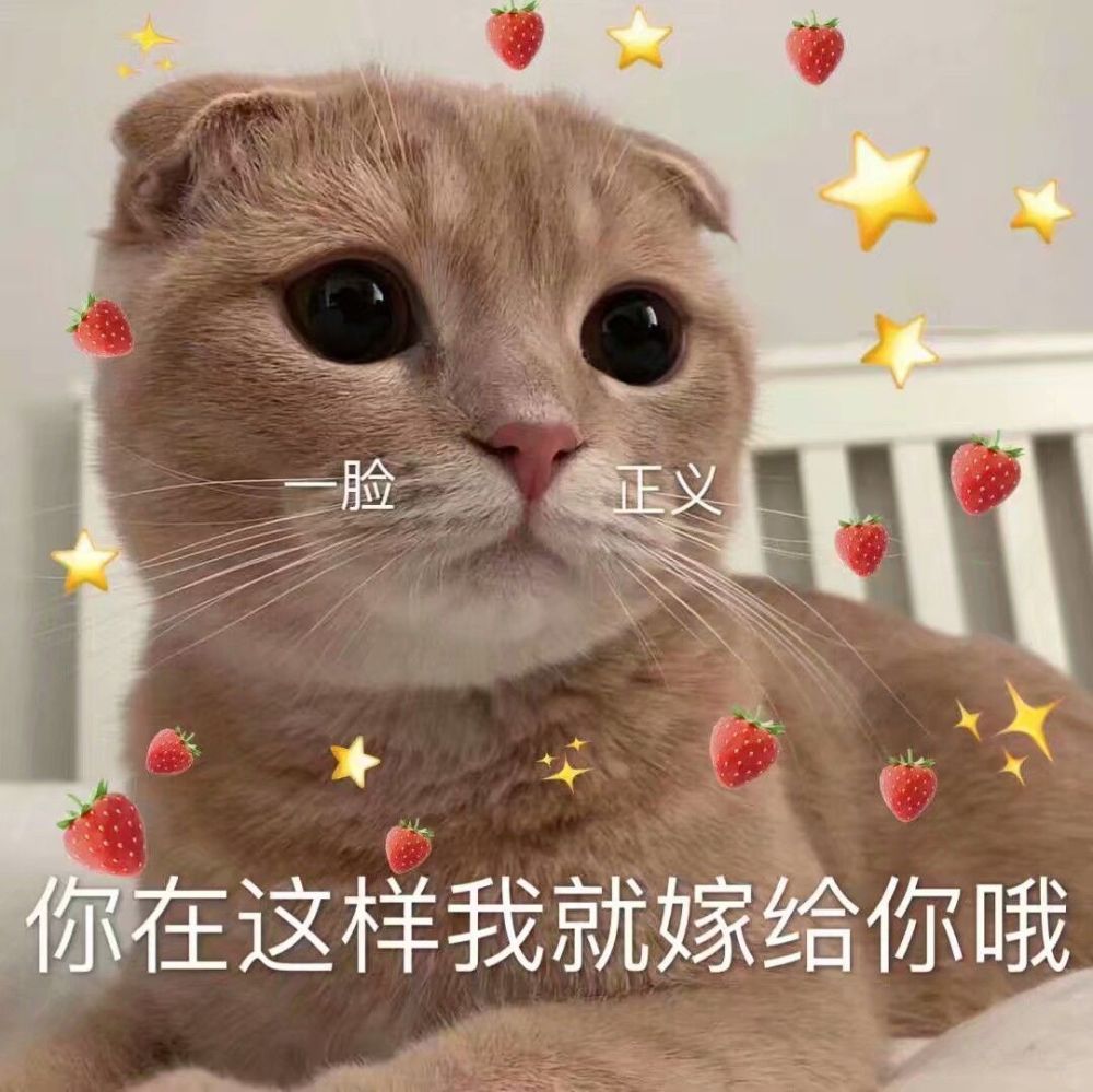 表情包:你这个负心汉啊!看到你就扎心