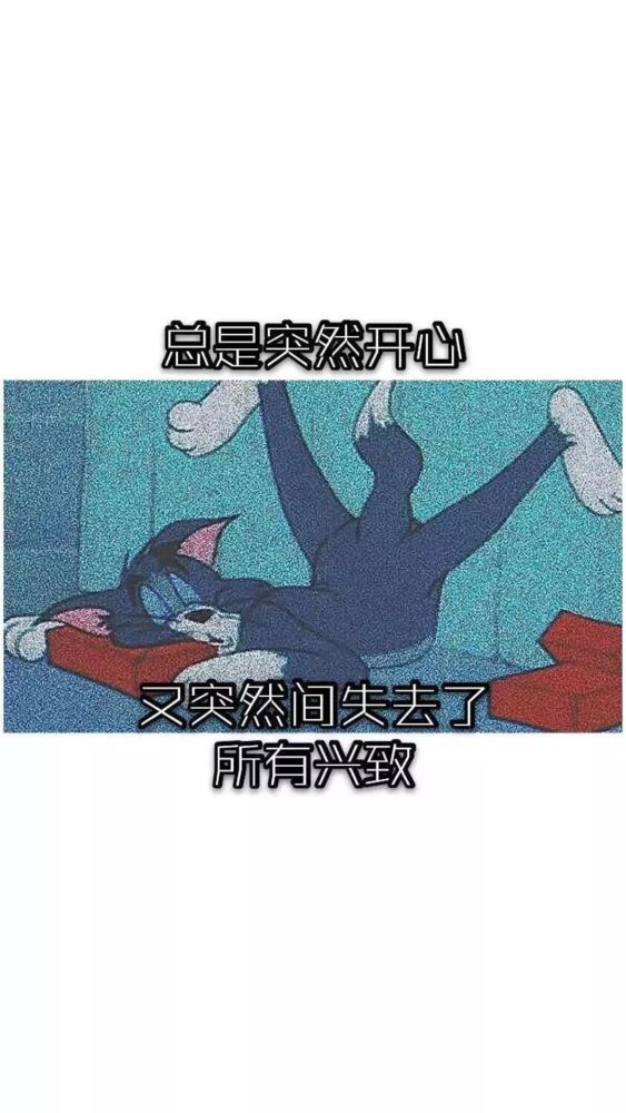 抖音超火壁纸 猫和老鼠壁纸