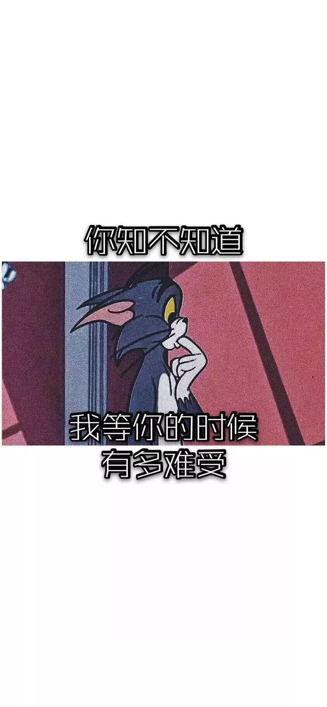 抖音超火壁纸 猫和老鼠壁纸