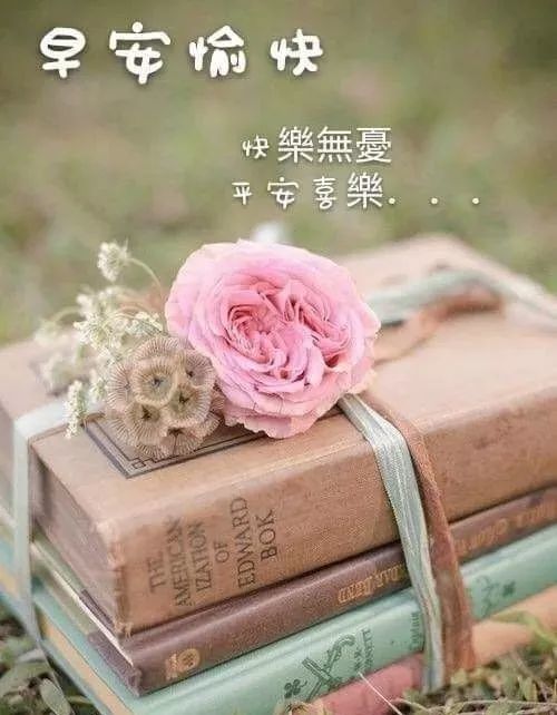 清晨好暖心的早安问候短信祝福语,早安漂亮图片问候祝福语送你