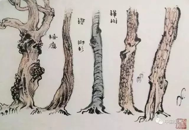 松树,榆树,桦树,枣树10几种树的画法合集,附带字形