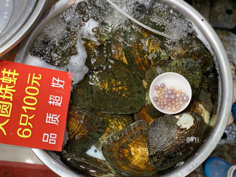 扒厦门开蚌取珠套路:20元开蚌包有珍珠，一眨眼价格翻到百倍
