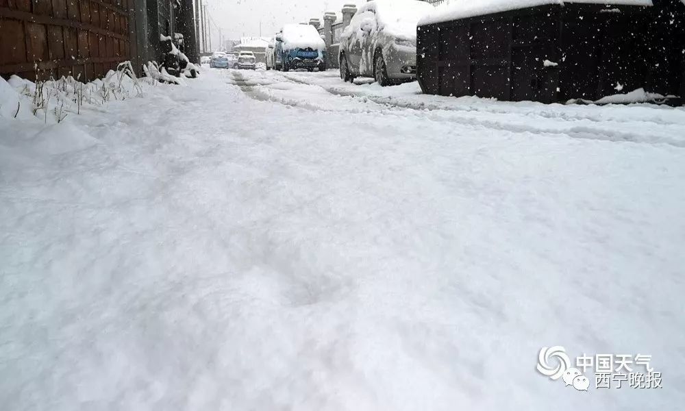 雪深达8厘米,青海多地下雪,实景图来了