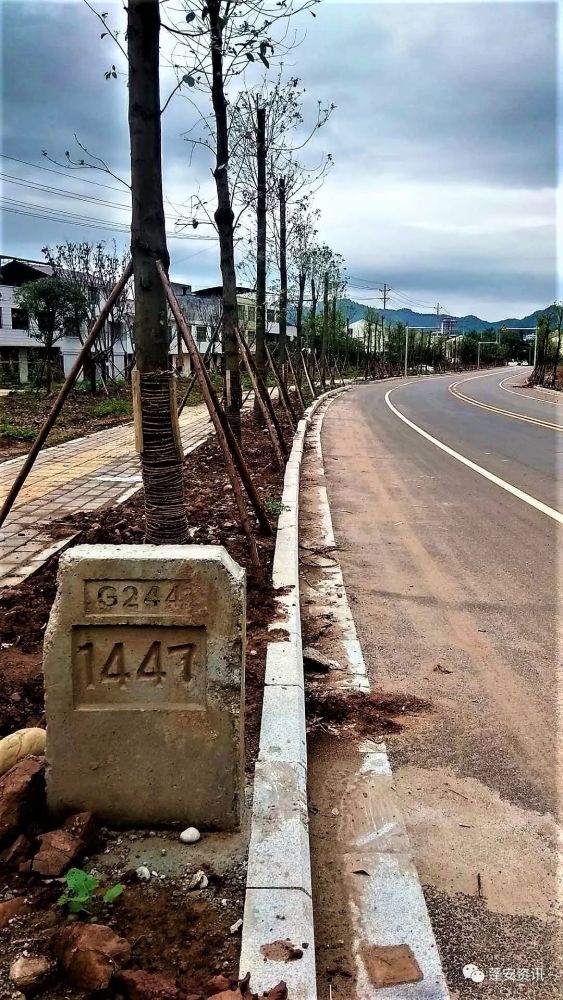 省道s203升级国道g244后,蓬安境内部分路段有变动.