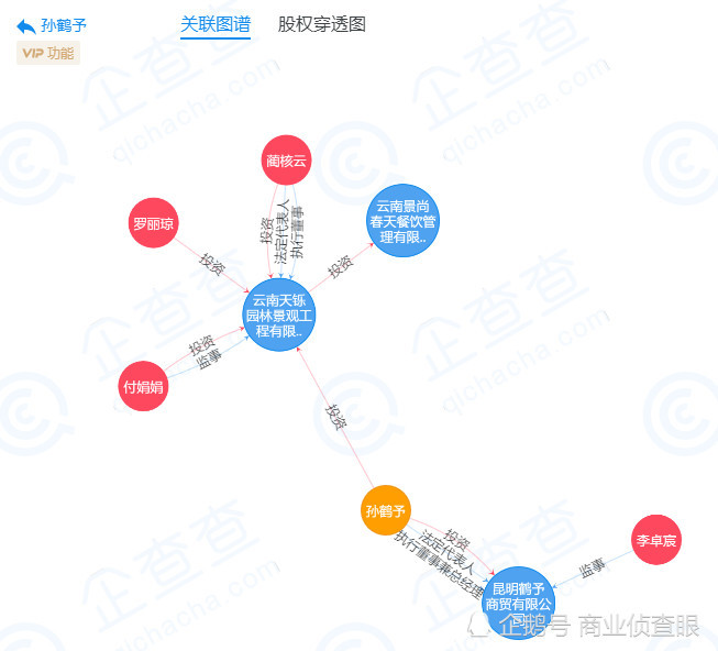 孙小果背后的"高能"女人:骨子里高傲,门路广