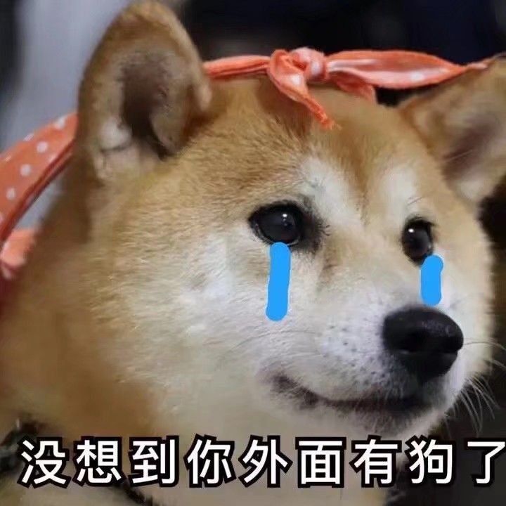 柴犬表情包:没想到你外面有狗了!委屈,难受,不想说话