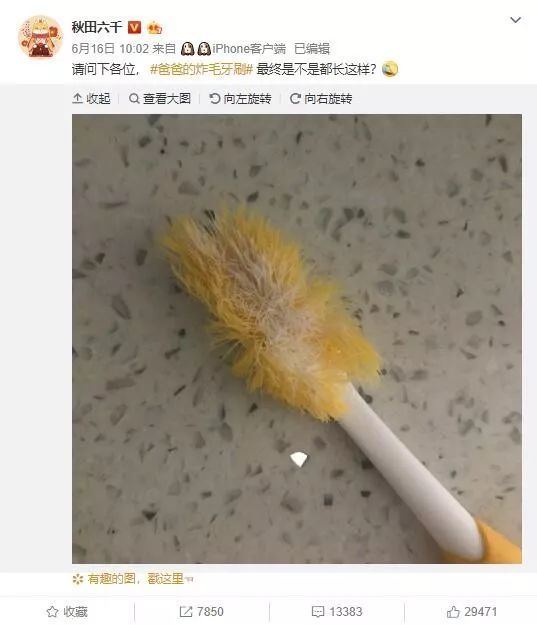 老爸的炸毛牙刷,狂浪,狂浪.