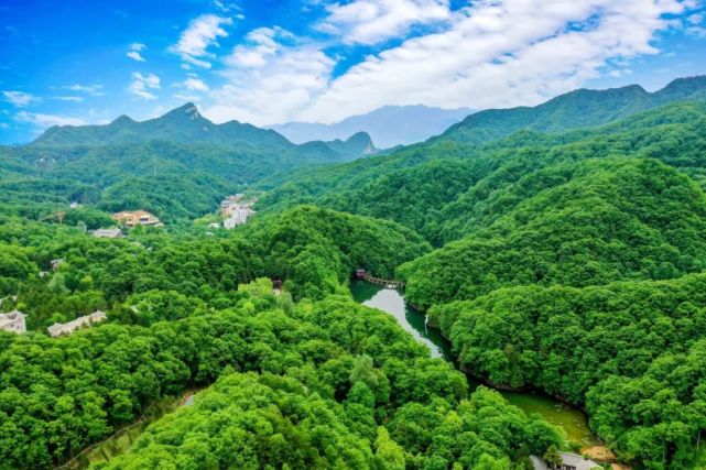 免门票！赶紧去！这次是洛阳这家5A级景区