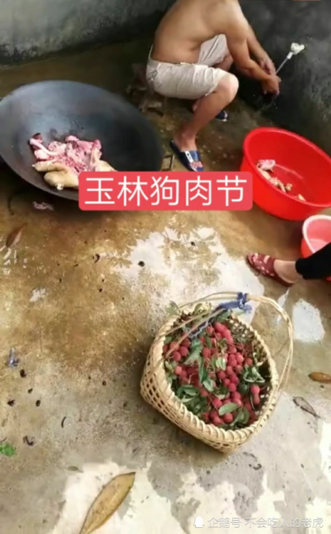 广西玉林:荔枝狗肉节来临,习俗始于明朝,网友有人赞成