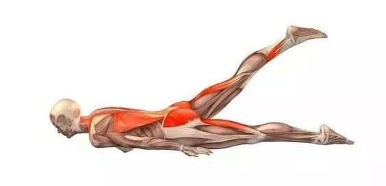 瑜伽蝗虫式可以治疗腰椎间盘突出,为啥你却练