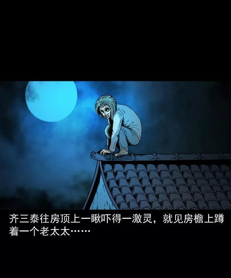 【猫脸老太太新传】