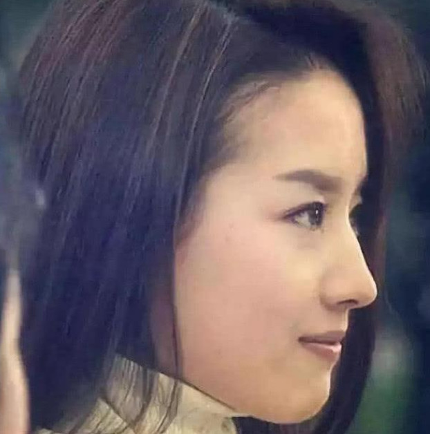 完美侧脸轮廓,古力娜扎,刘亦菲上榜,只有她的侧脸才最