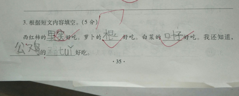 小学生妙笔生花写诗造句样样精通老师你可以提前毕业了